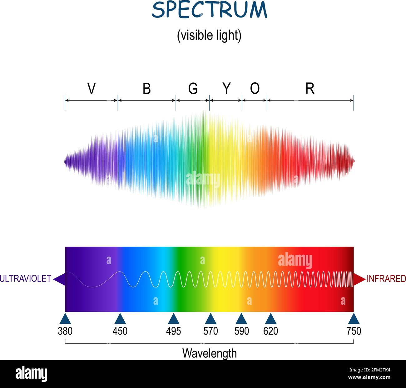 Spectre Lumière Visible Diagramme Vectoriel Échelle Des Couleurs De Lultraviolet à L