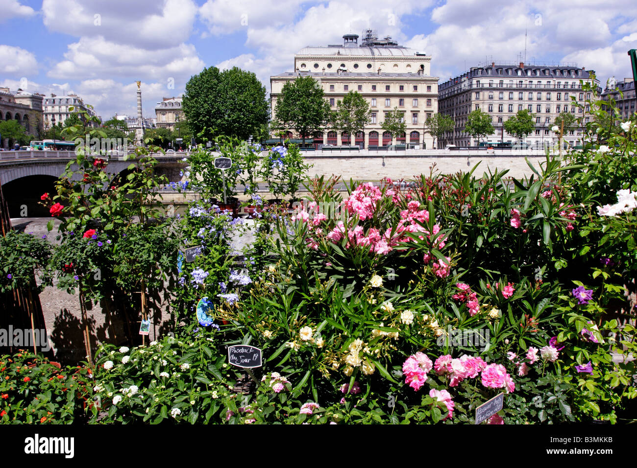 France Paris marché aux fleurs le long de quai aux fleurs à Paris Photo