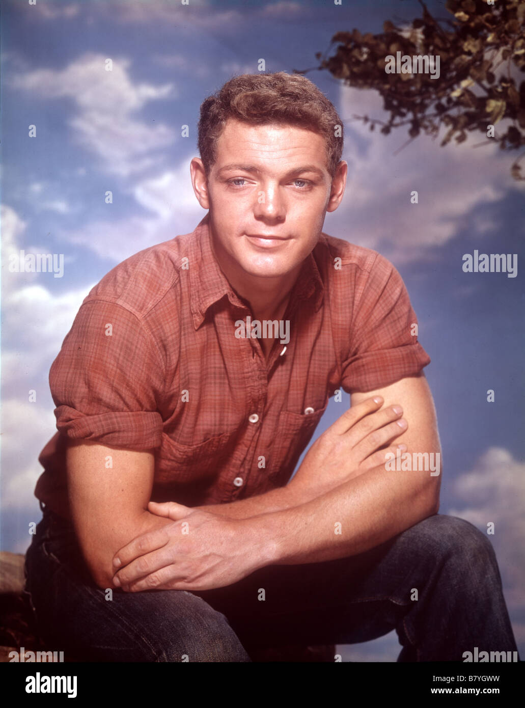 James MacArthur James Mac Arthur James MacArthur Photo Stock - Alamy