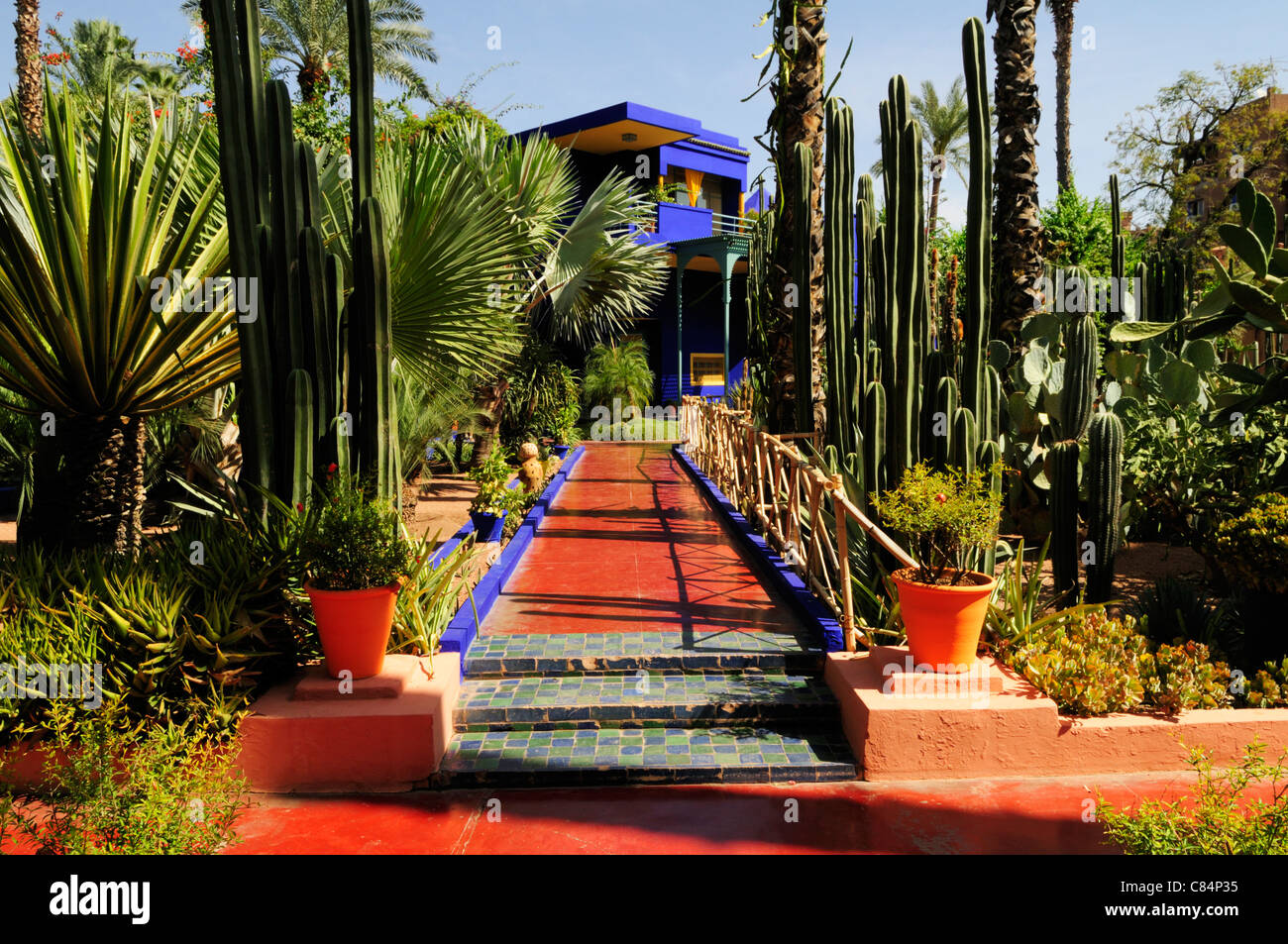 Jardin Majorelle Marrakech Maroc Photo Stock Alamy