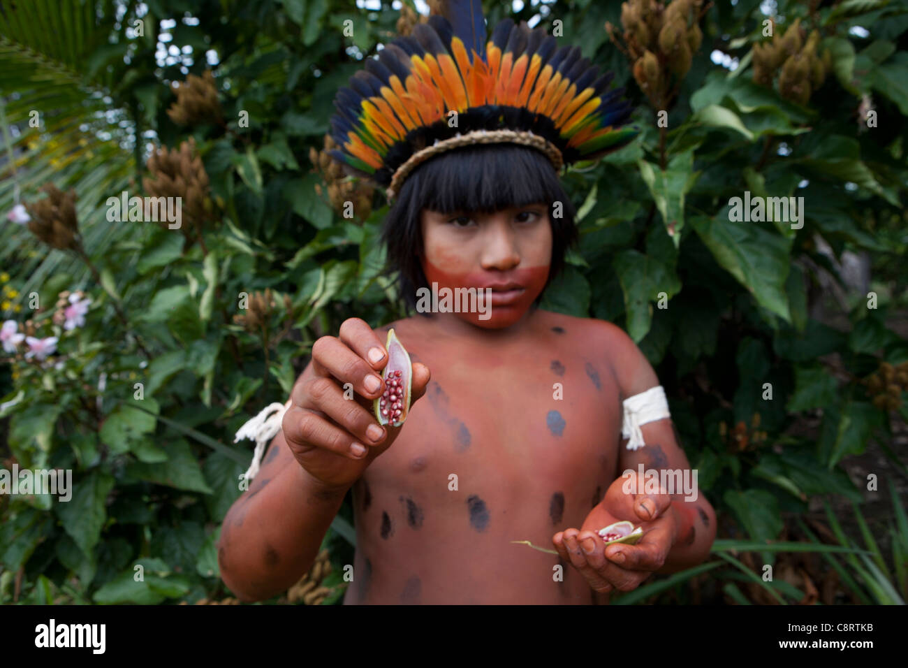 Les Indiens Xingu Peindre Leur Corps Amazone Brésil Photo Stock Alamy 7087