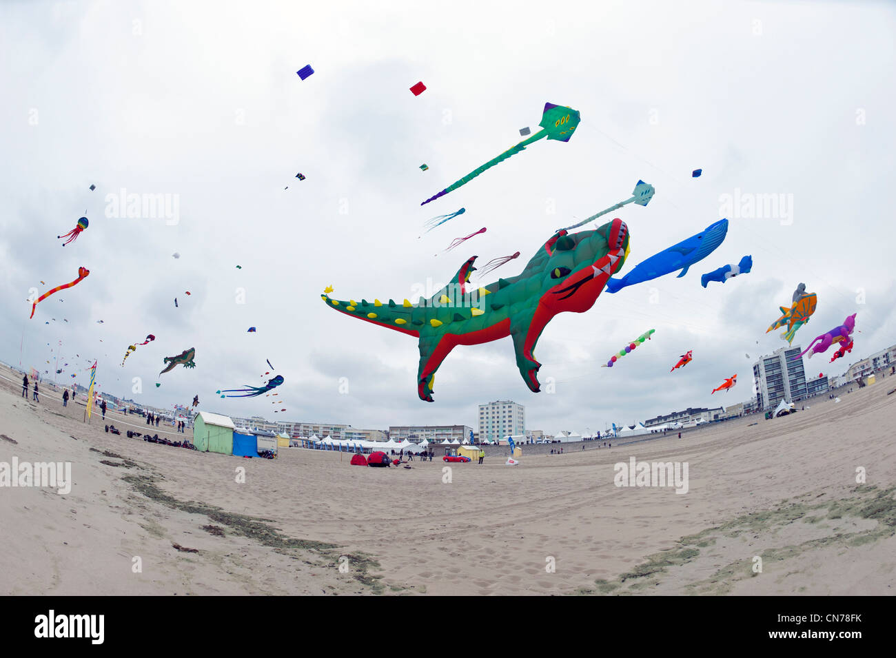Berck sur Mer, Festival International de Cerfvolant, cerfs volants