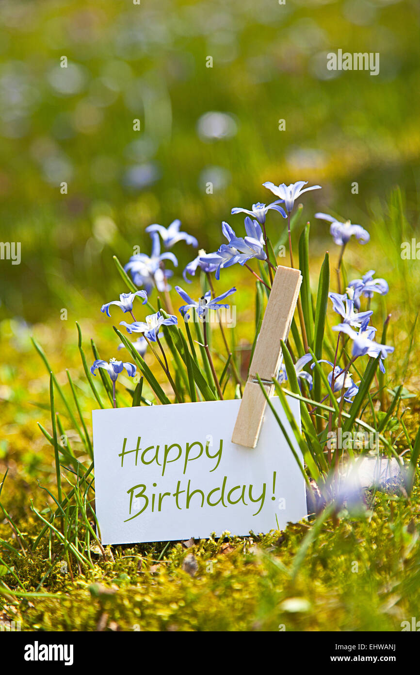 "Joyeux Anniversaire ! Avec les fleurs du printemps Photo Stock - Alamy